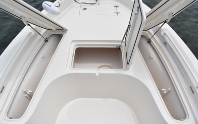 Sea Chaser 21 LX