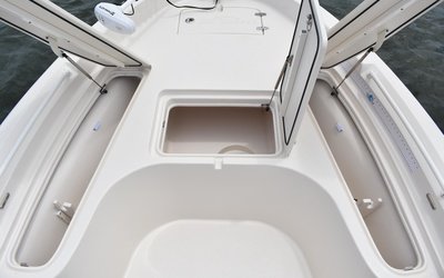 Sea Chaser 21 LX