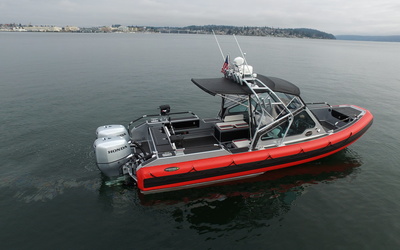 Life Proof 25 Runabout