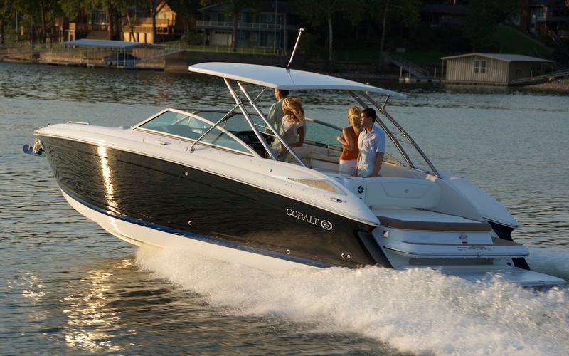 Cobalt 302