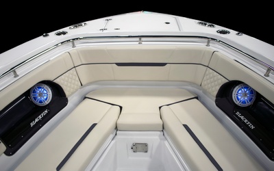 Blackfin 302DC