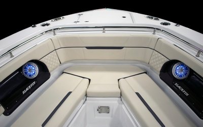Blackfin 302DC
