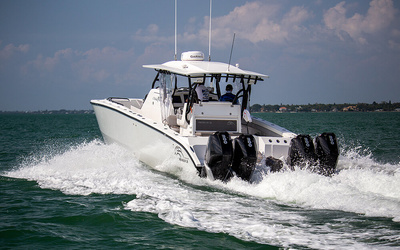 Renaissance Prowler 36