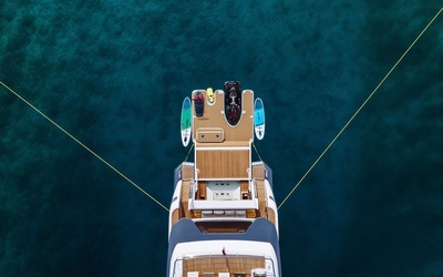 KingFisher 2025 Falcon