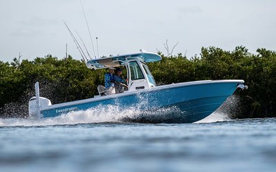 Everglades 253CC