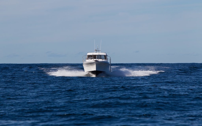 Saga  325