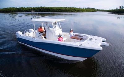 World Cat 295CC