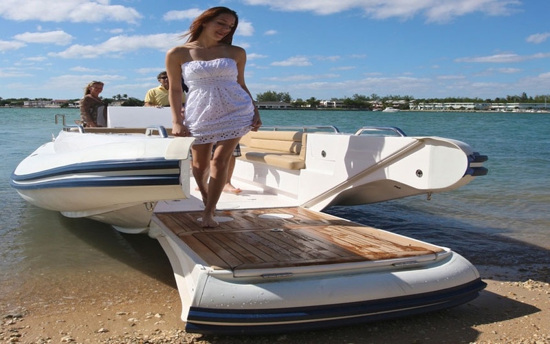 Novurania  Chapman 22