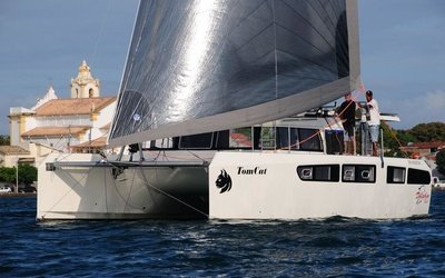 Dolphin 380