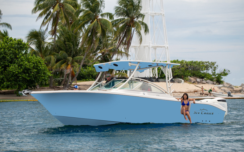 Sea Chaser 27 DC