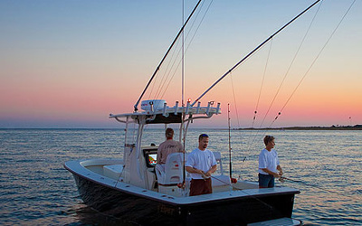 Egret 306