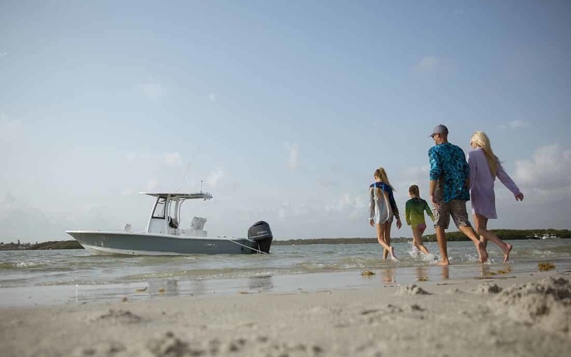 Sea Hunt BX 25 FS