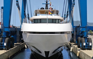 Mangusta Dokinha