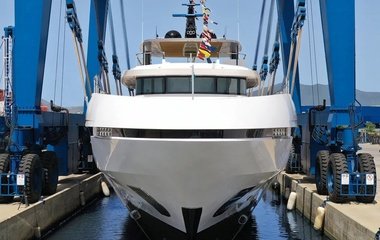 Mangusta Dokinha