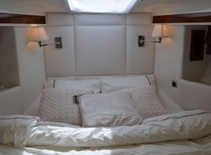 Cobrey C40 FLY (2019)