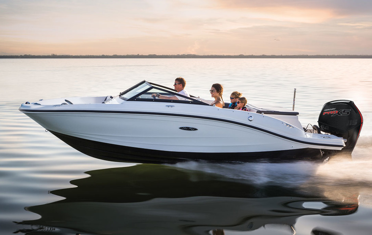 Sea Ray SPX 190 OB (2021)
