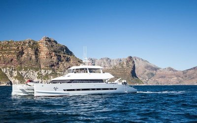 Two Oceans 800E Power Catamaran