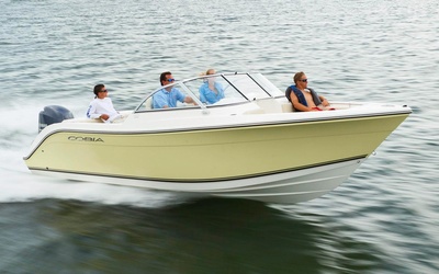 Cobia 220 DC