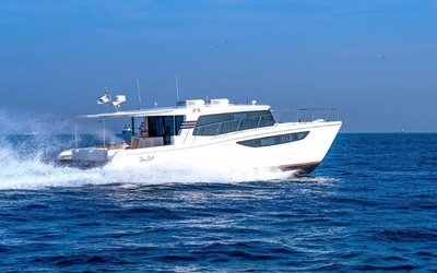 SilverCat 46LUX