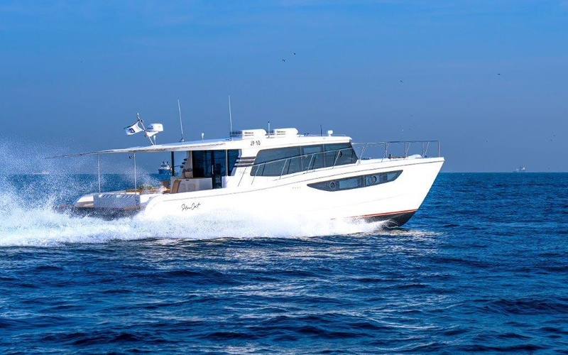 SilverCat 46LUX