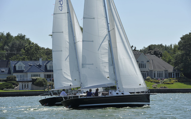 Tartan Fantail