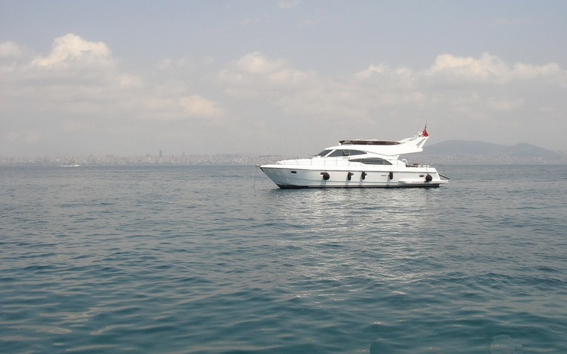 Leomar 53