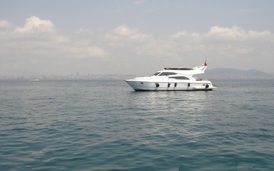 Leomar 53