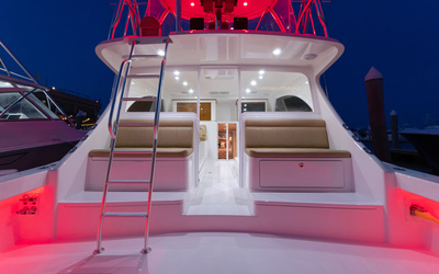 Viking 46BF