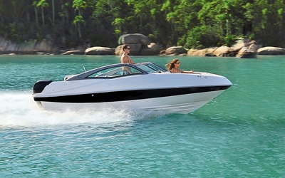 Fibrafort Focker 210