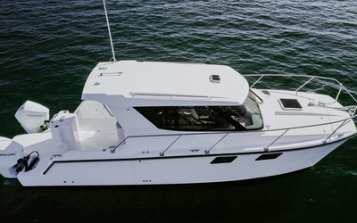 ArrowCat 320 Coupe