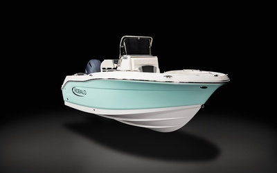 Robalo R180
