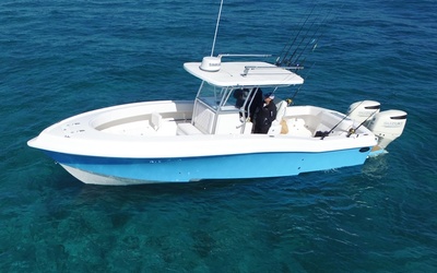 Dusky 33 XF