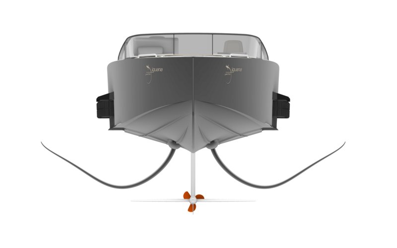Iguana Foiler