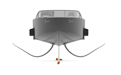 Iguana Foiler