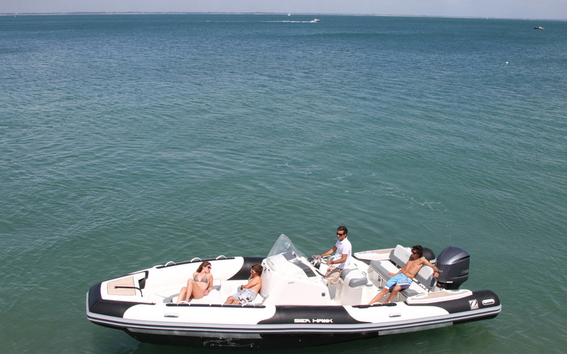 Zodiac Sea Hawk 800