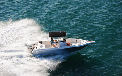Fishing Raptor 265 CC