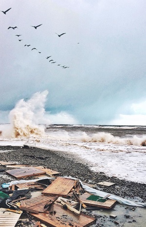 Storm of the Year