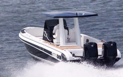 Novurania Chase 31