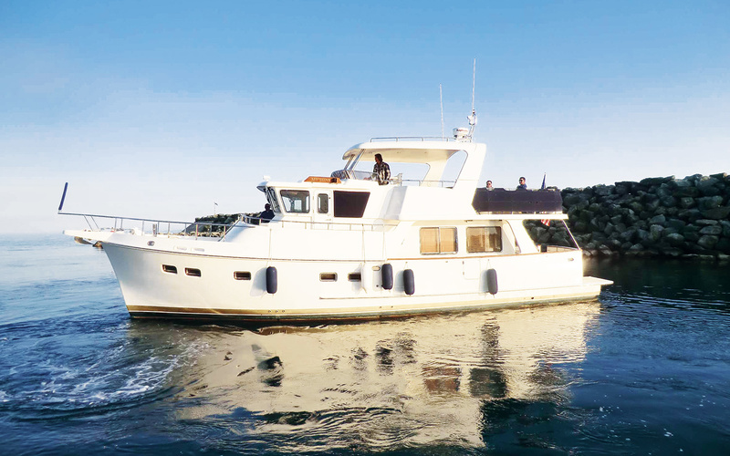 Selene 55