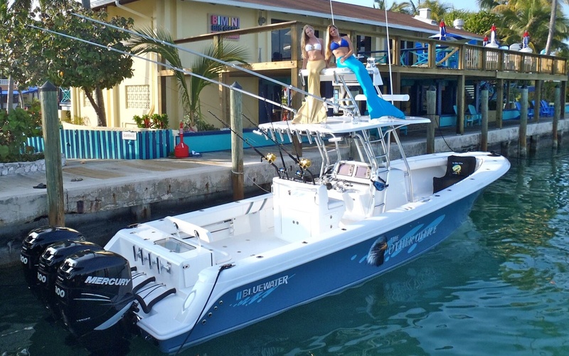 Bluewater 355e