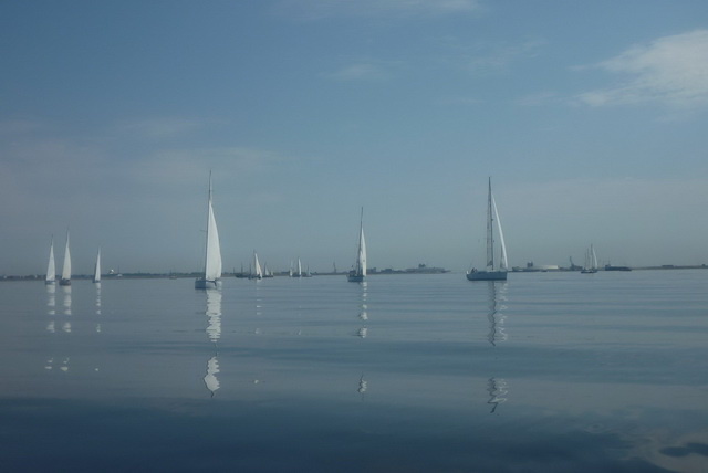 Shots of the 2011 competition