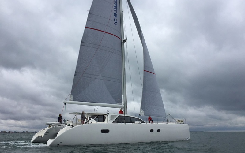 Ice Cat 61