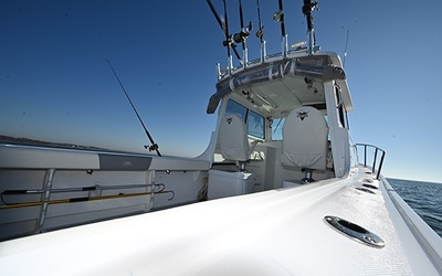 Steiger Craft 255 Miami