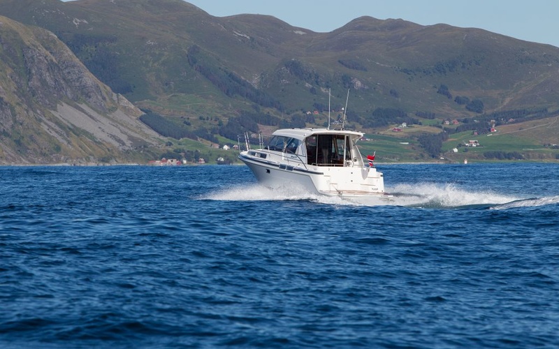 Saga  325
