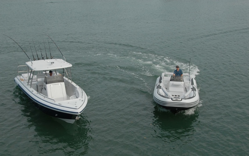 Novurania Chase 31