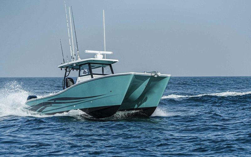 SilverCat 34CC