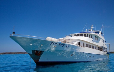 Tecnavin Tip Top IV