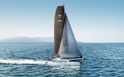 Dragonfly 36