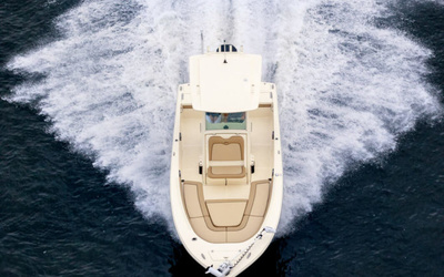 Scout 251 XSS