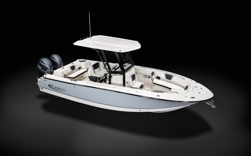 Robalo R250